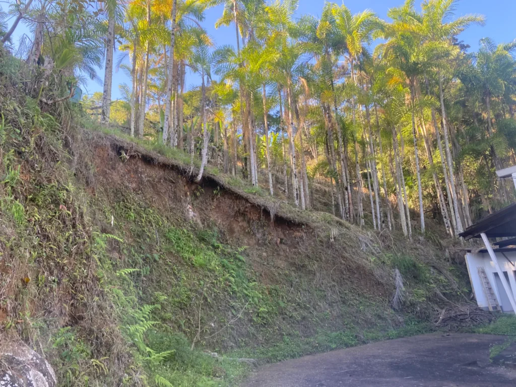 Sítio de 90.000 m² com galpão industrial e acesso asfaltado, foto 3
