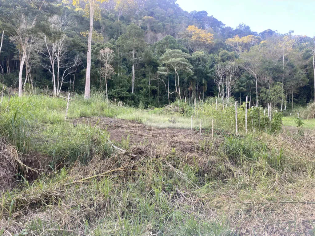 Sítio de 90.000 m² com galpão industrial e acesso asfaltado, foto 9