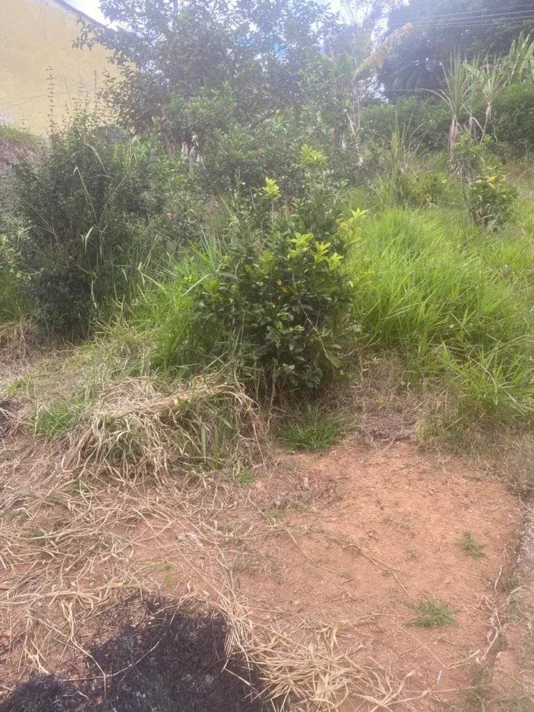 Terreno de 1.500 m² com casa de 2 quartos e poço artesiano, foto 10
