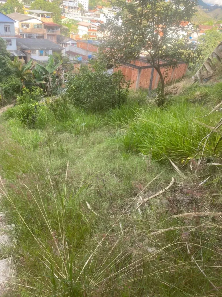 Terreno de 1.500 m² com casa de 2 quartos e poço artesiano, foto 11