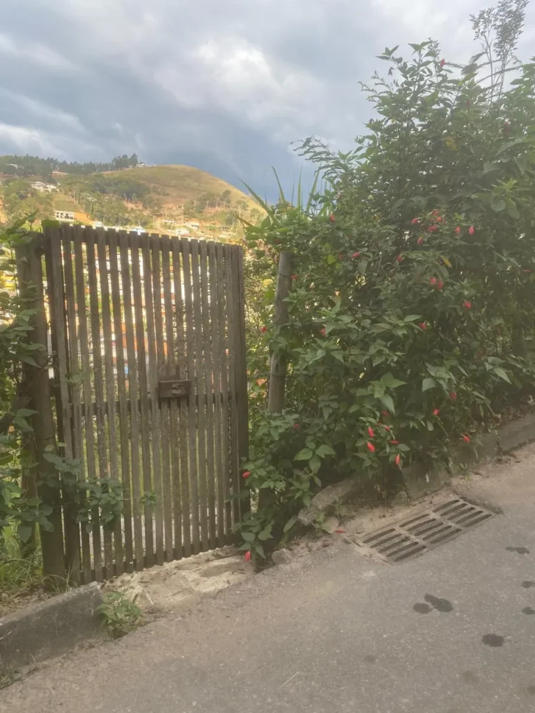 Terreno de 1.500 m² com casa de 2 quartos e poço artesiano, foto 3