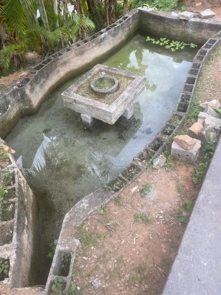 Terreno de 1.500 m² com casa de 2 quartos e poço artesiano, foto 6