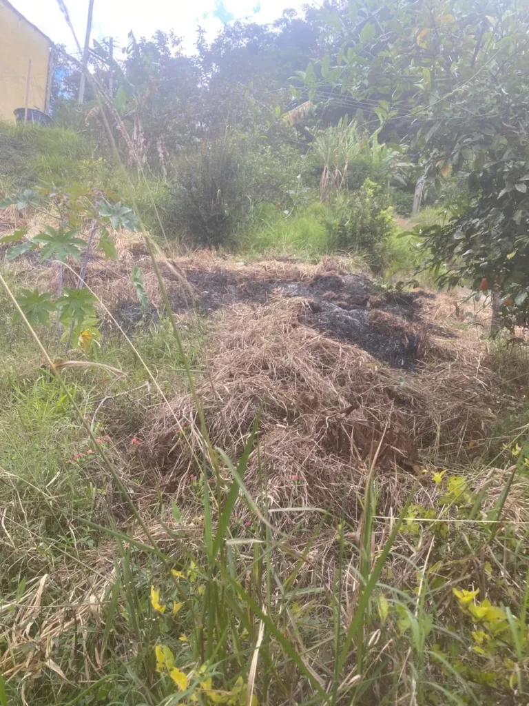Terreno de 1.500 m² com casa de 2 quartos e poço artesiano, foto 7