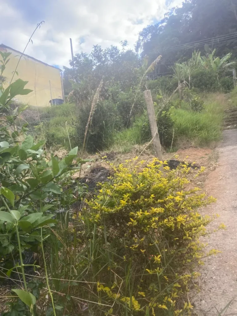Terreno de 1.500 m² com casa de 2 quartos e poço artesiano, foto 9