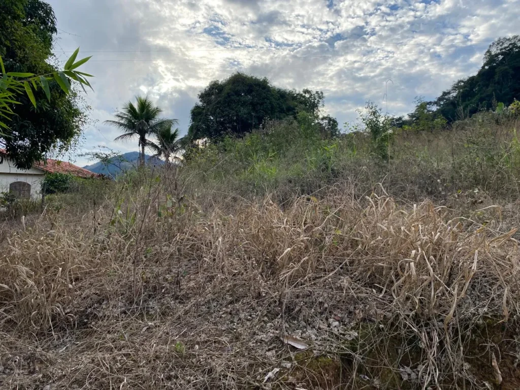 Terreno rural de 3.441 m² em Barra Alegre, com ótimo visual, foto 13