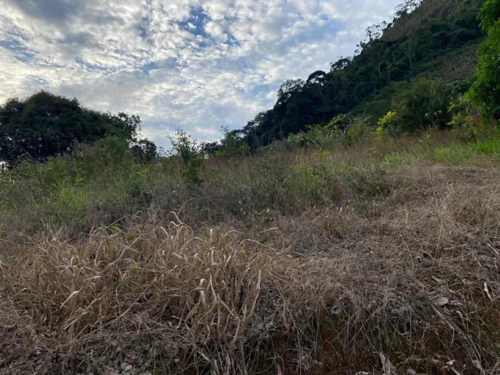 Terreno rural de 3.441 m² em Barra Alegre, com ótimo visual, foto 2