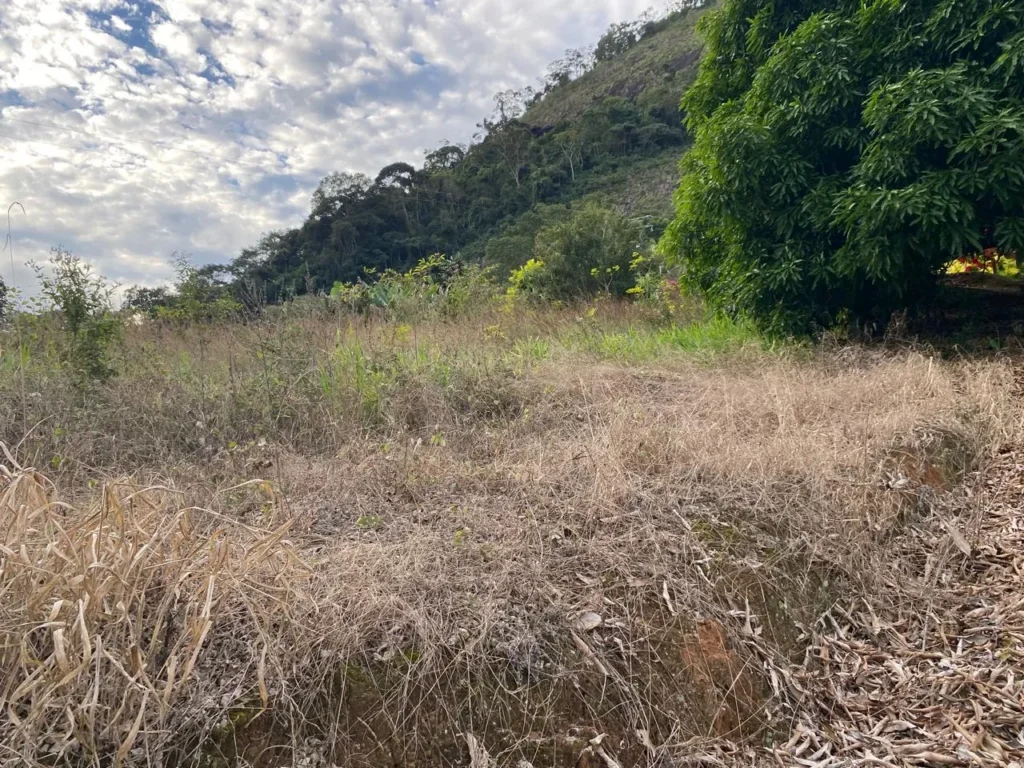 Terreno rural de 3.441 m² em Barra Alegre, com ótimo visual, foto 4