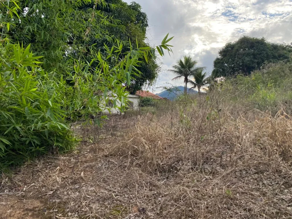 Terreno rural de 3.441 m² em Barra Alegre, com ótimo visual, foto 7