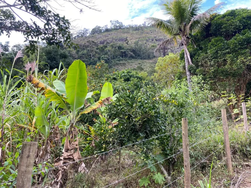 Terreno rural de 3.441 m² em Barra Alegre, com ótimo visual, foto 8