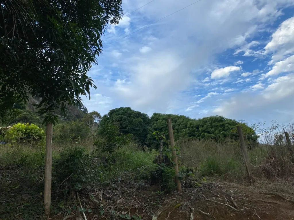 Terreno rural de 3.441 m² em Barra Alegre, com ótimo visual, foto 9