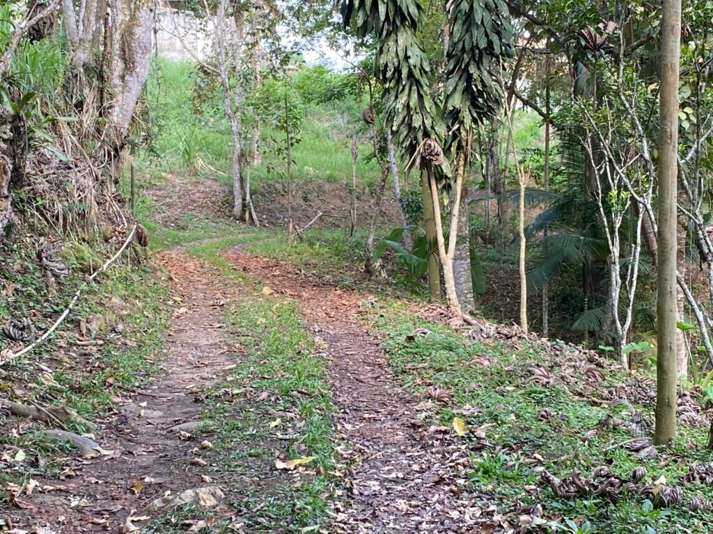 Sítio a 10 minutos do centro, foto 3