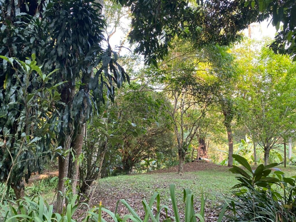 Sítio a 10 minutos do centro, foto 11