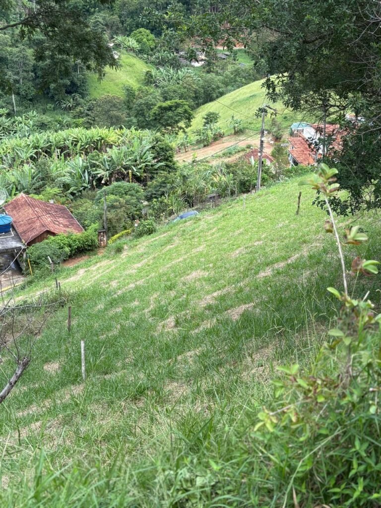 LOTES NO BEM-TE-VI AMARELO
