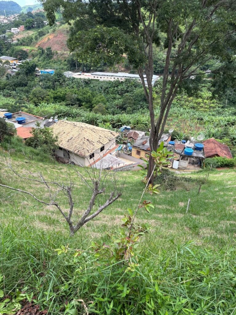 LOTES NO BEM-TE-VI AMARELO, foto 2