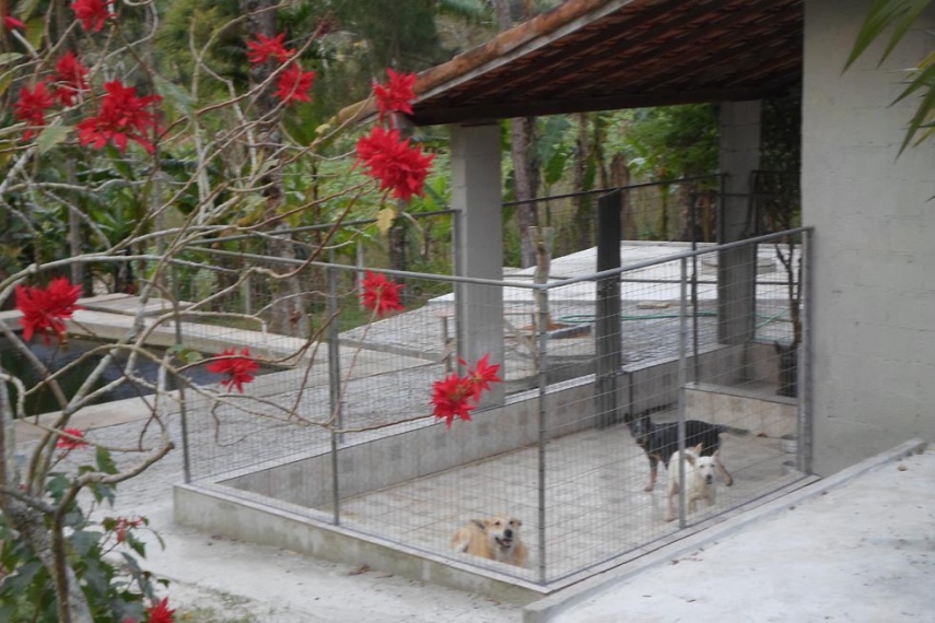 Sítio,Venda,Sítio com 36.000 m² Descrição da Propriedade Sítio com 36.000 m²,1000