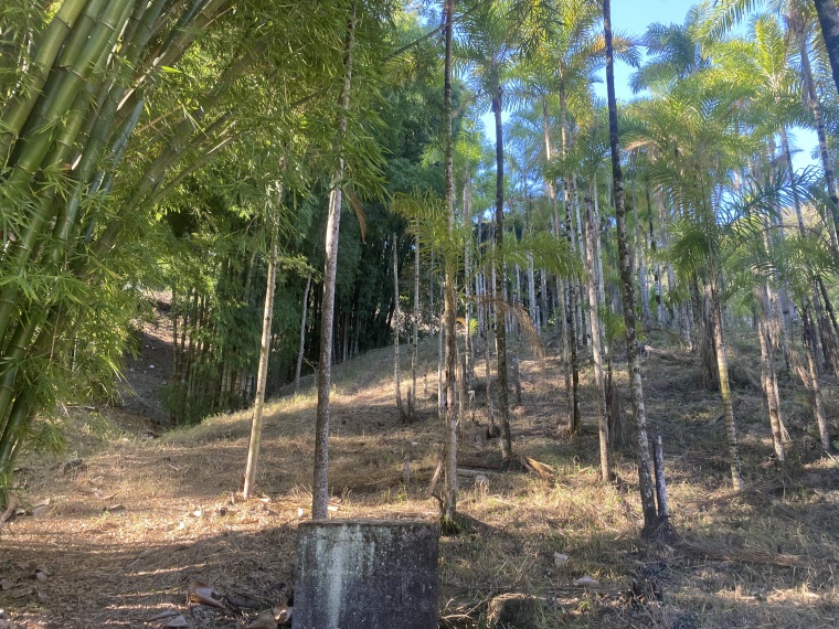 Sítio,Venda,Sítio - 90.000m²,1102