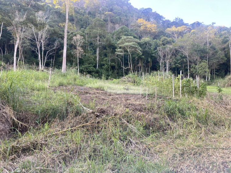 Sítio,Venda,Sítio - 90.000m²,1102