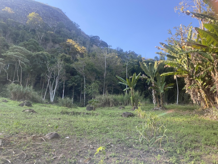 Sítio,Venda,Sítio - 90.000m²,1102