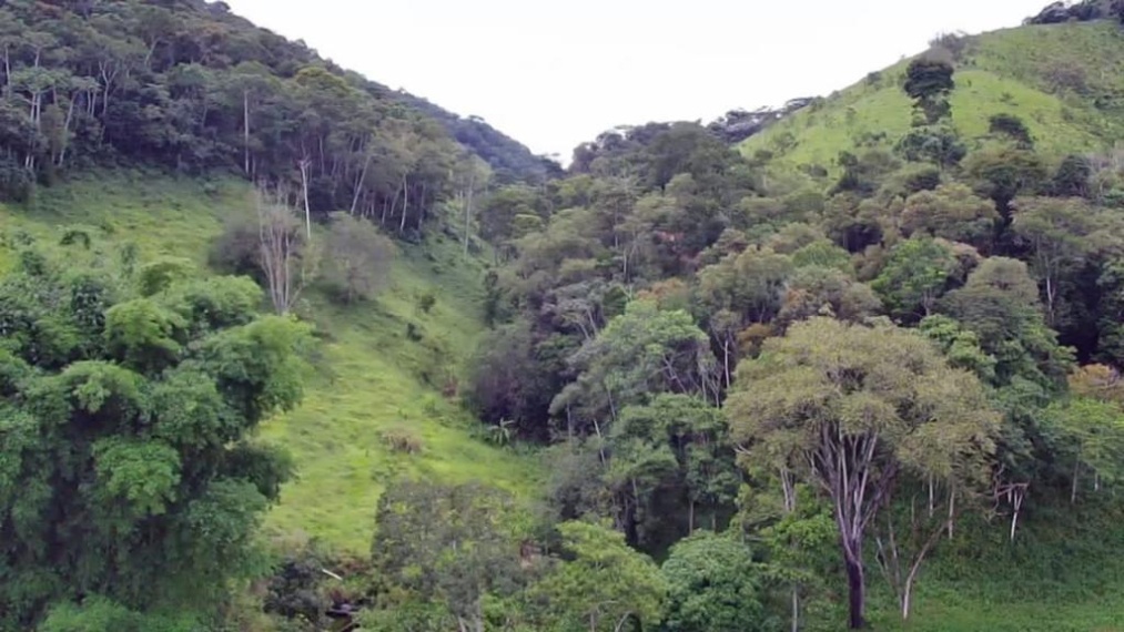 Fazendas,Venda,FAZENDA,1116