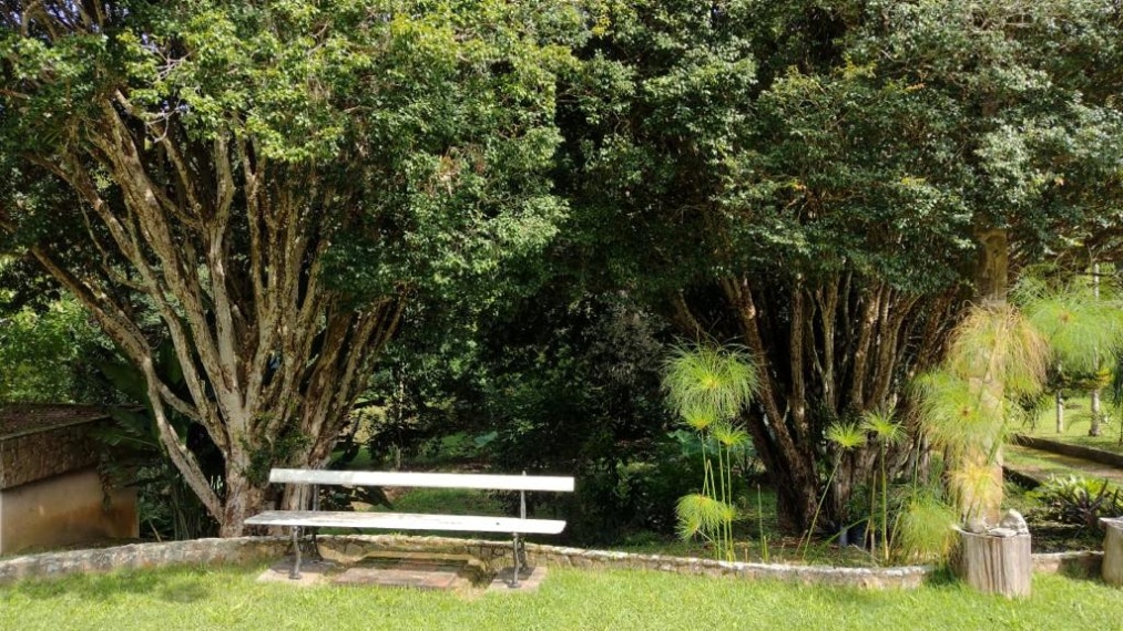 Fazendas,Venda,FAZENDA,1116