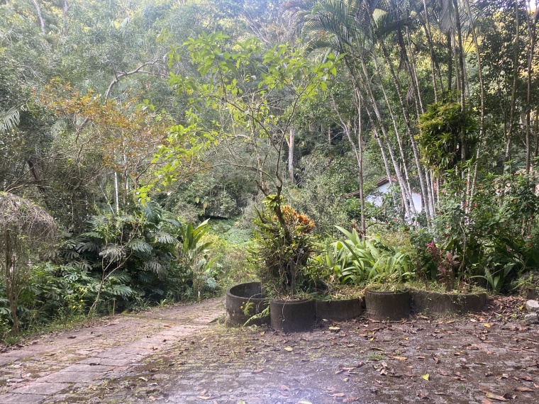 Sítio,Venda,SITIO,1121