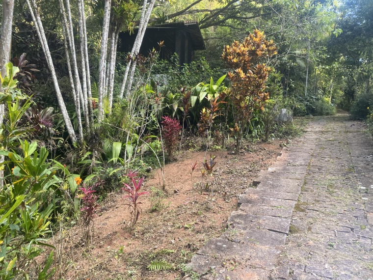 Sítio,Venda,SITIO,1121