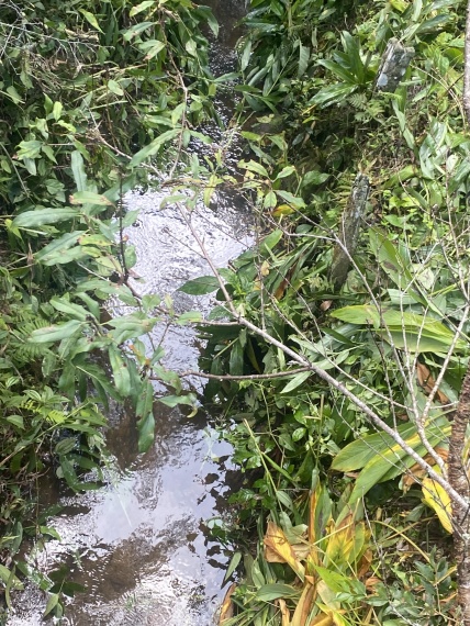 Sítio,Venda,SITIO,1121