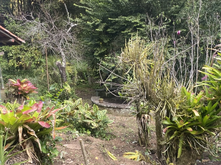 Sítio,Venda,SITIO,1121