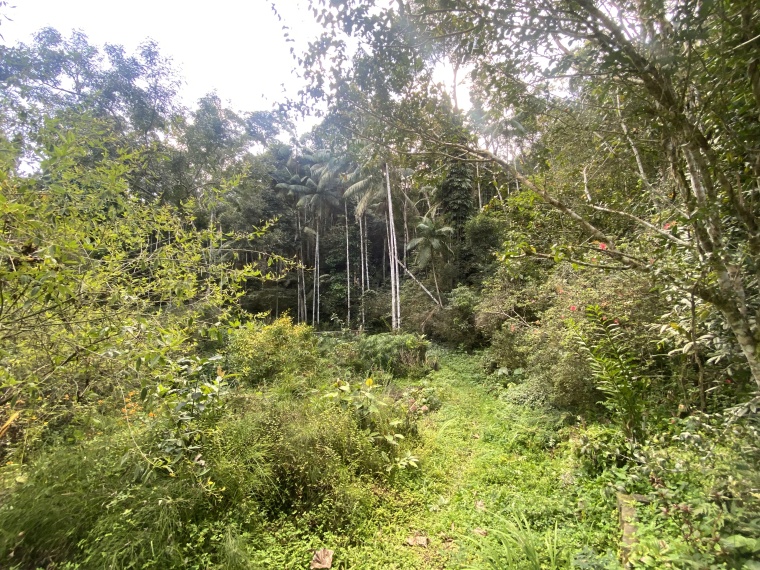 Sítio,Venda,SITIO,1121