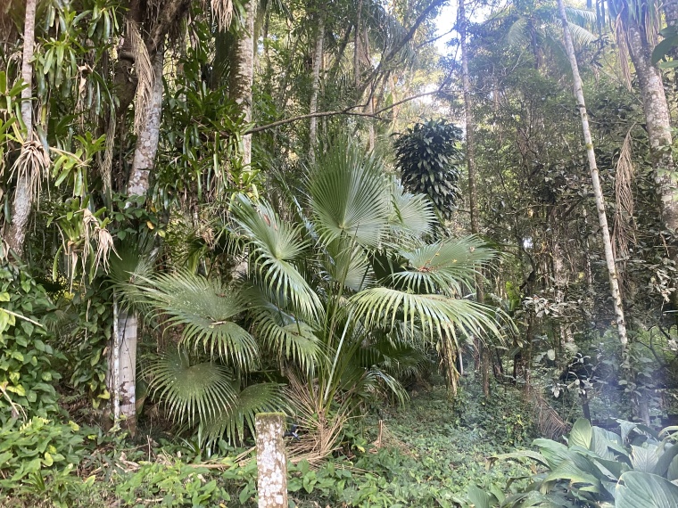 Sítio,Venda,SITIO,1121