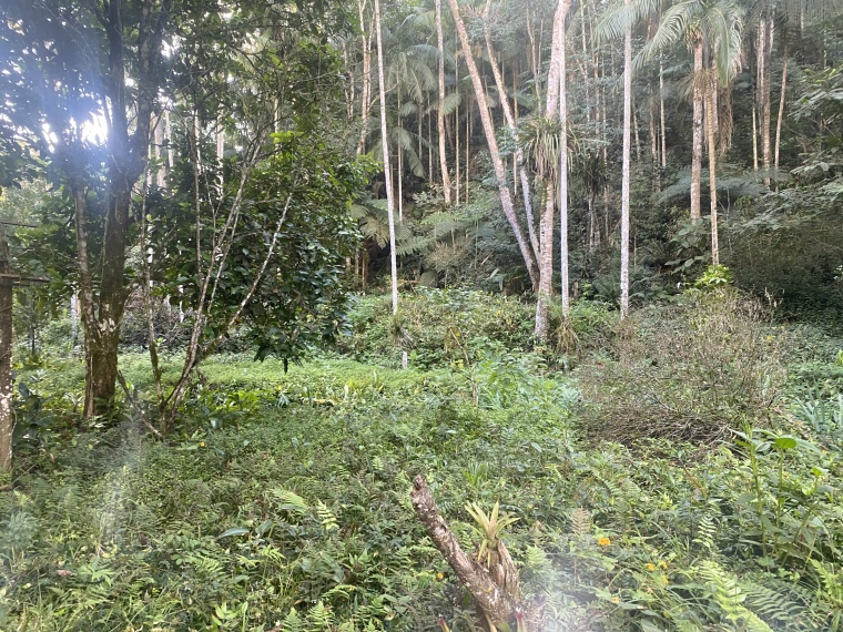 Sítio,Venda,SITIO,1121