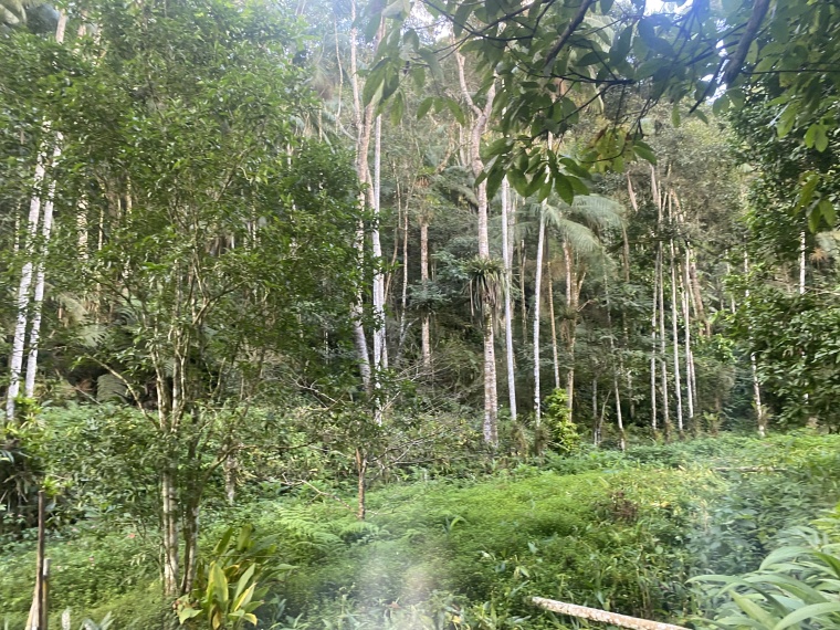 Sítio,Venda,SITIO,1121