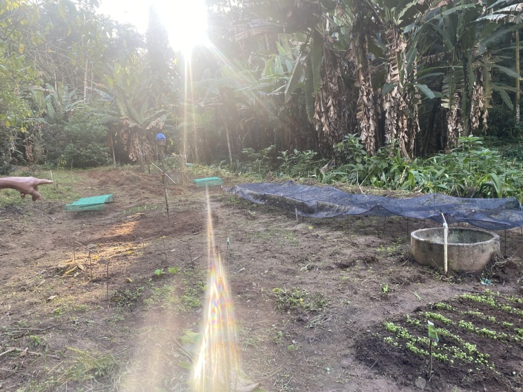 Sítio,Venda,SITIO,1121