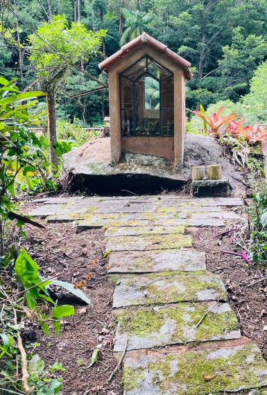 Sítio,Venda,SITIO,1121