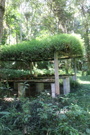 Sítio,Venda,SITIO,1121