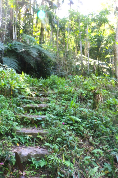 Sítio,Venda,SITIO,1121