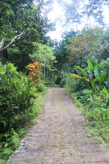 Sítio,Venda,SITIO,1121