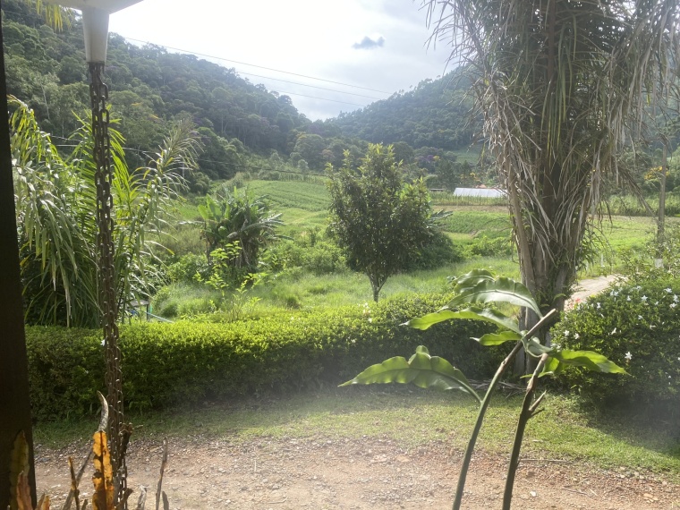 Sítio,Venda,SÍTIO,1125