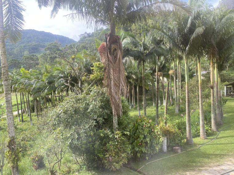 Sítio,Venda,SÍTIO,1125