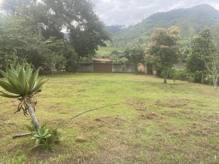 Chácaras,Venda,CHACARA,1131