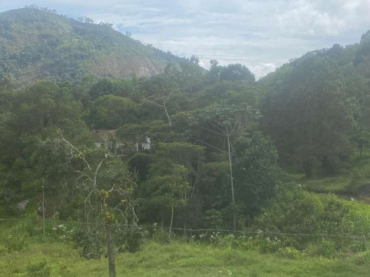 Sítio,Venda,SITIO,1159