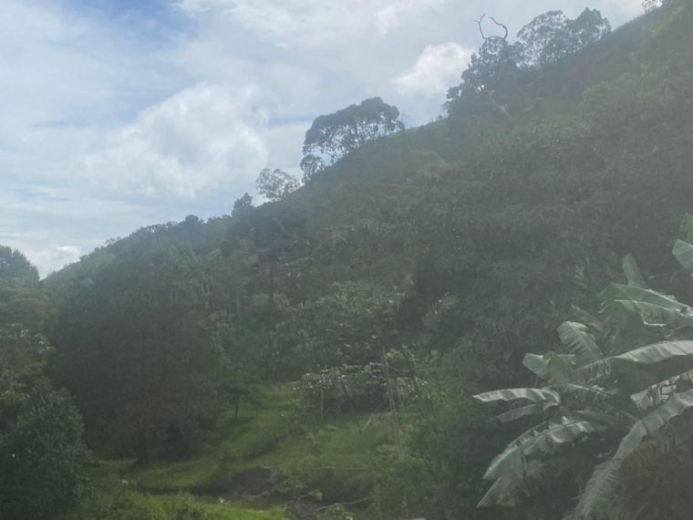 Sítio,Venda,SITIO,1159