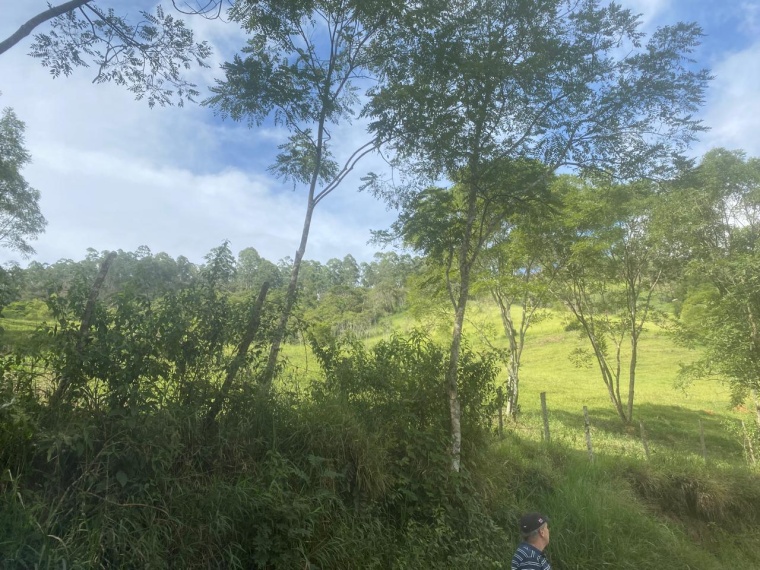 Sítio,Venda,SITIO,1159