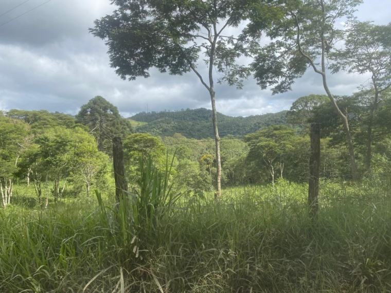 Sítio,Venda,SITIO,1159