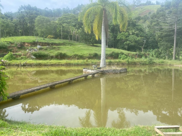 Sítio,Venda,SITIO,1159