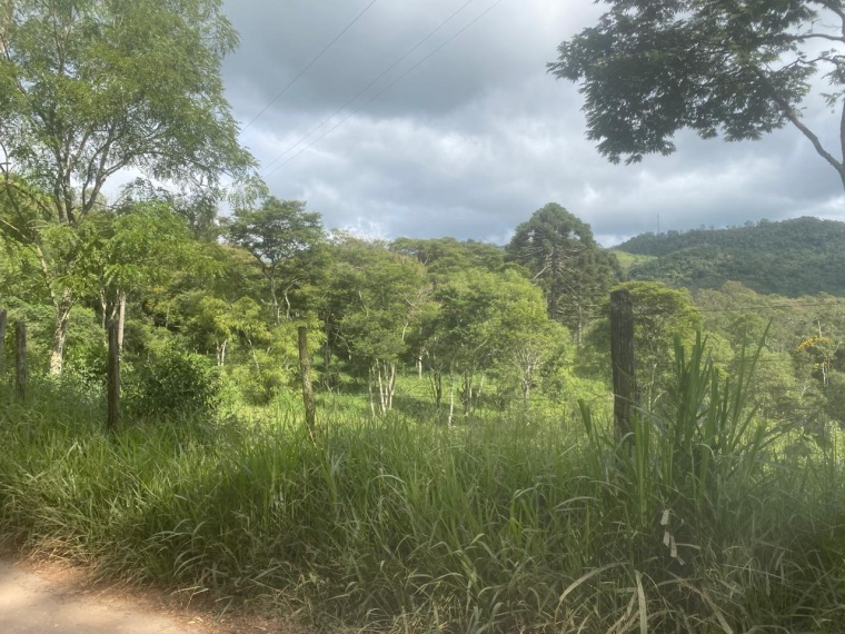 Sítio,Venda,SITIO,1159