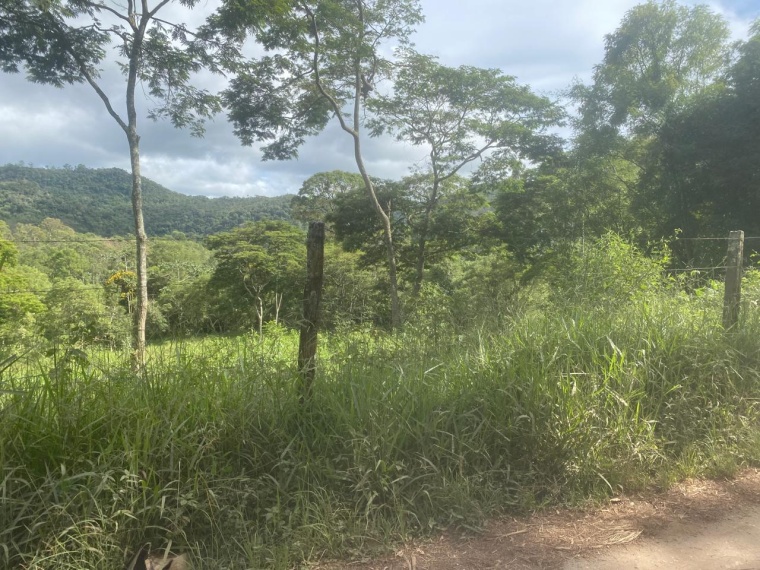 Sítio,Venda,SITIO,1159