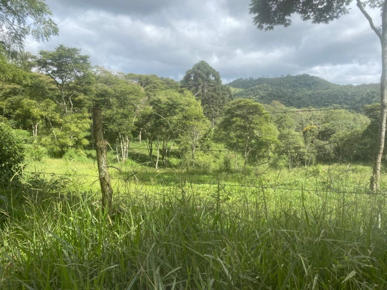 Sítio,Venda,SITIO,1159