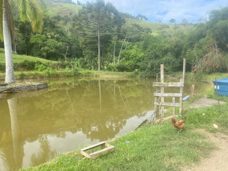 Sítio,Venda,SITIO,1159