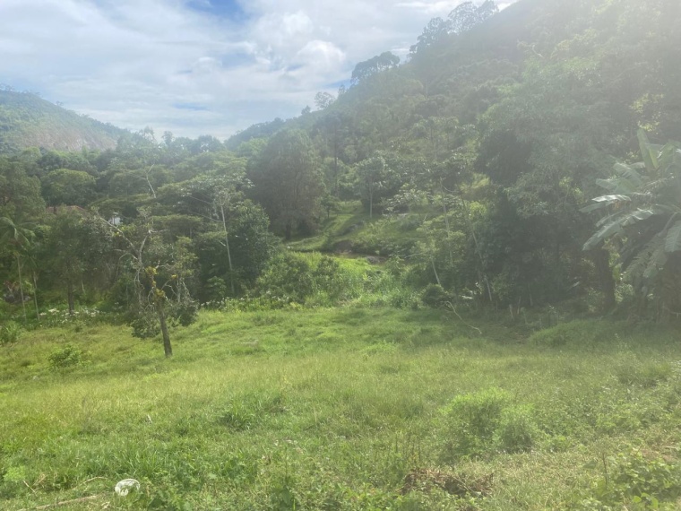 Sítio,Venda,SITIO,1159